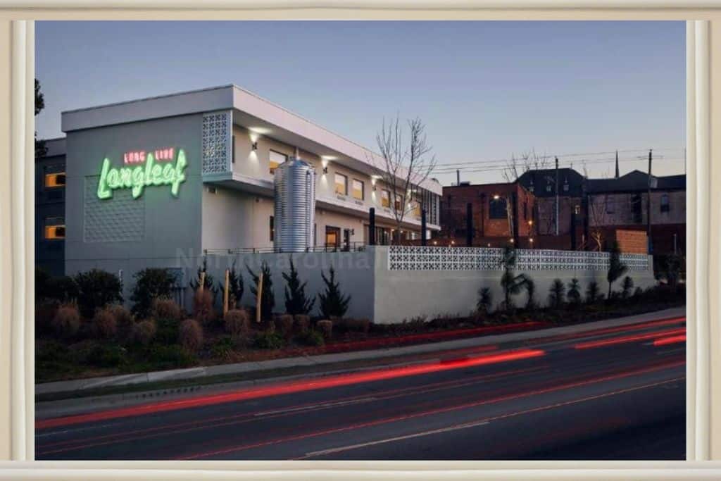 Long Leaf Hotel, a mid-range trendy downtown hotel near Dix Park

Thomas Gambo's Trolls at Dix Park: Raleigh